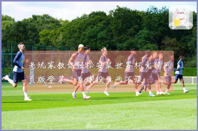 老玩家教你轻松安装世界杯竞猜网页版登录,看球投注两不误