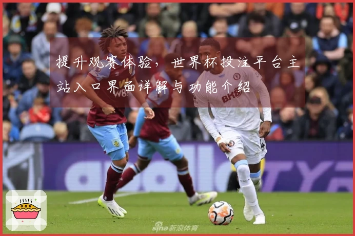 提升观赛体验，世界杯投注平台主站入口界面详解与功能介绍