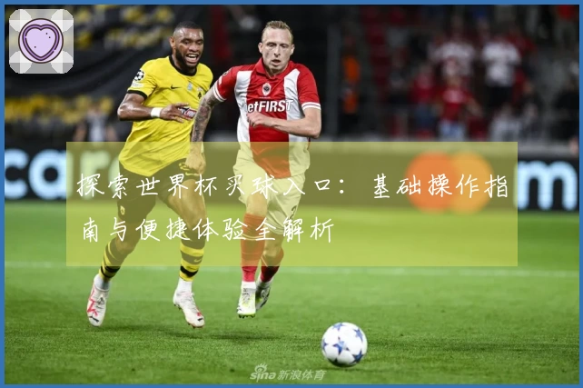 探索世界杯买球入口：基础操作指南与便捷体验全解析