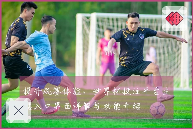 提升观赛体验,世界杯投注平台主站入口界面详解与功能介绍